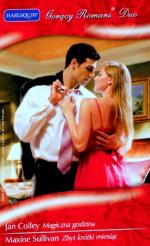 Okładka Magiczna godzina. Zbyt krótki miesiąc