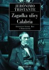Okładka Zagadka ulicy Calabria