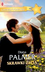 Okładka Skrawki życia