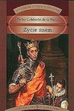 Okładka Życie snem