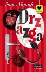 Okładka Drzazga