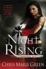 Okładka Night Rising
