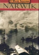 Okładka Narwik