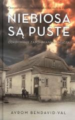 Okładka Niebiosa są puste. Odkrywanie zapomnianego miasta