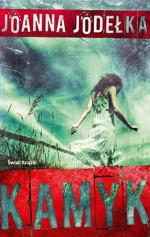 Okładka Kamyk