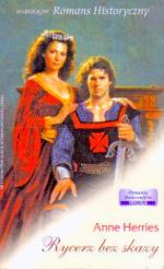 Okładka Rycerz bez skazy