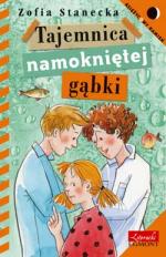 Okładka Tajemnica Namokniętej Gąbki