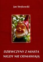 Okładka Dziewczyny z miasta nigdy nie odmawiają