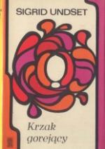 Okładka Krzak gorejący