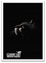 Okładka Czarny kot