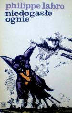 Okładka Niedogasłe ognie