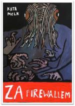 Okładka Za firewallem