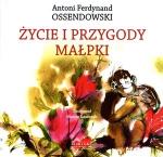 Okładka Życie i przygody małpki