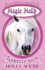 Okładka Tajemniczy kucyk