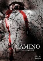 Camino