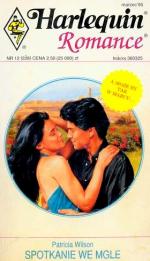 Okładka Spotkanie we mgle