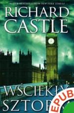 Okładka Derrick Storm 2. Wściekły sztorm