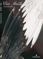 Okładka Cień anioła