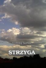 Okładka Strzyga. Sandomierskie opowieści niesamowite