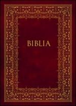 Okładka Biblia podróżna
