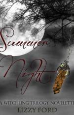 Okładka Summer Night