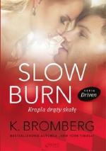 Okładka Slow Burn. Kropla drąży skałę