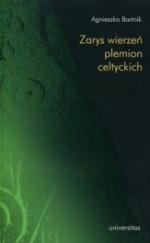Okładka Zarys wierzeń plemion celtyckich