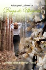 Okładka Droga do Ukojenia