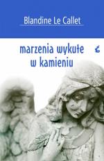 Okładka Marzenia wykute w kamieniu