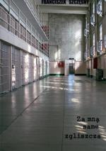 Okładka Za mną same zgliszcza