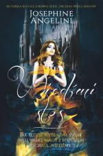 Okładka Wiedźmi stos