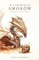 Okładka W labiryncie smoków