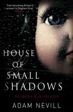 Okładka House of Small Shadows