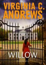 Okładka Willow