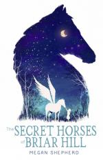Okładka The Secret Horses of Briar Hill