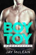 Okładka Boy Toy Chronicles