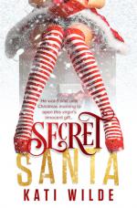 Okładka Secret Santa