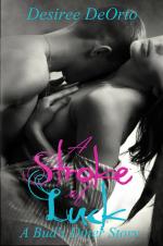 Okładka A Stroke of Luck