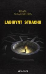 Okładka Labirynt strachu