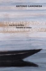 Okładka Światło w cieniu