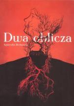 Okładka Dwa oblicza