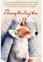 Okładka Przytulajka