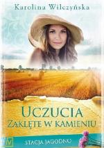 Okładka Uczucia zaklęte w kamieniu