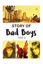 Okładka Story of Bad Boys. Tom 2