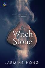 Okładka The Witch Stone