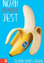 Okładka Noah po prostu jest