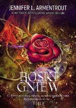 Okładka Boski gniew