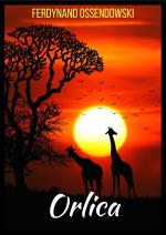 Okładka Orlica