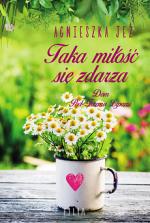 Okładka Taka miłość się zdarza
