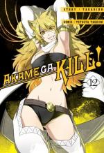 Okładka Akame ga kill! #12